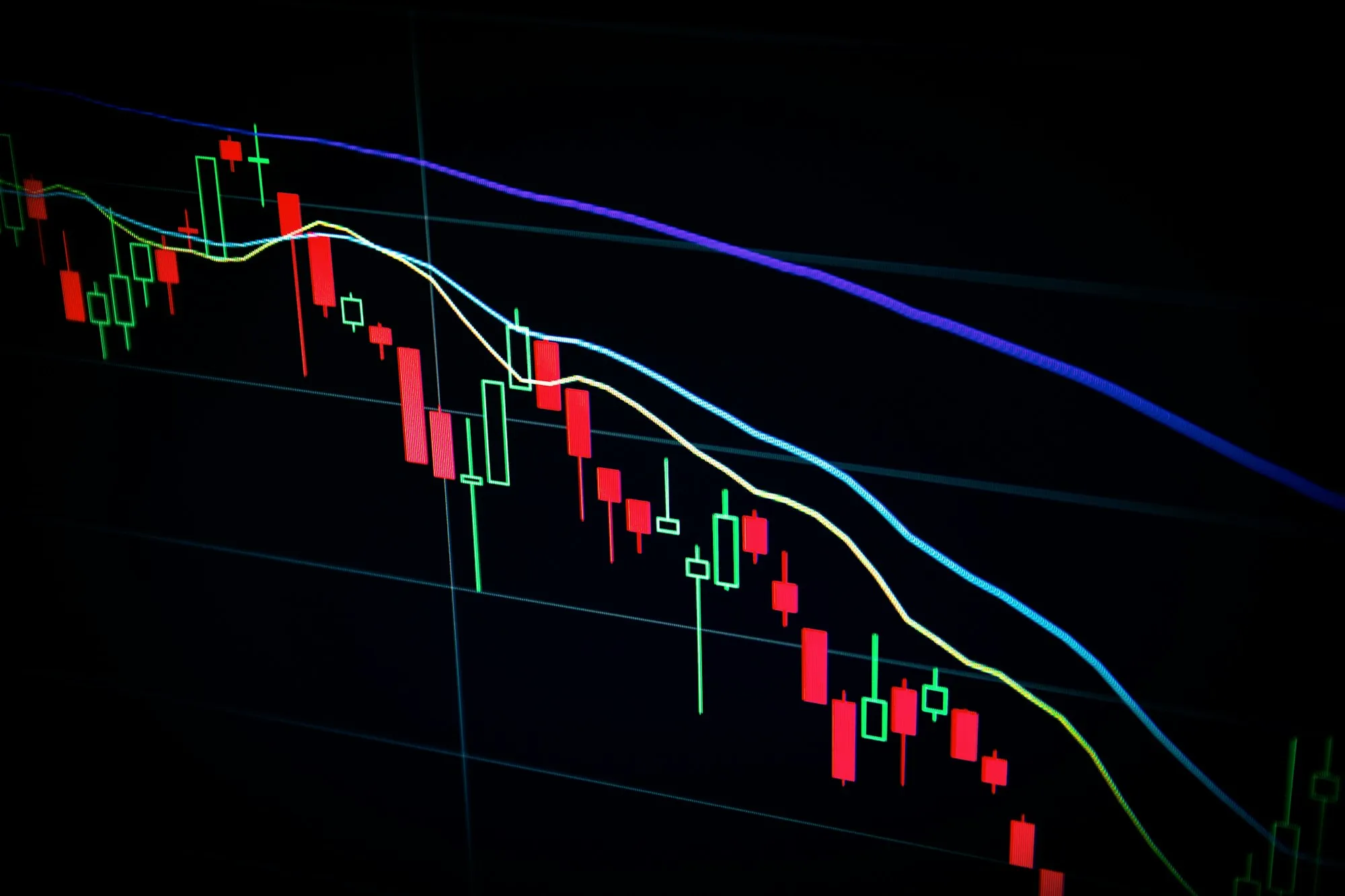 Trends in Primary Markets: What to expect in Q4